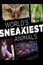Watch World's Sneakiest Animals Freemovieswatch