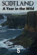 Watch Scotland: A Wild Year Freemovieswatch