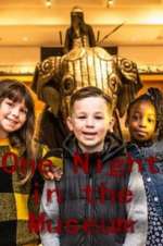 Watch One Night in the Museum Freemovieswatch