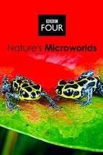 Watch Natures Microworlds Freemovieswatch