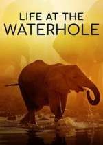Watch Life at the Waterhole Freemovieswatch