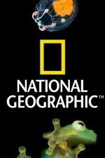 Watch Nat Geo Amazing! Freemovieswatch