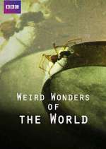 Watch Weird Wonders of the World Freemovieswatch