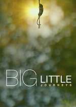 Watch Big Little Journeys Freemovieswatch