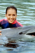 Watch Flipper (The New Adventures of Flipper) Freemovieswatch