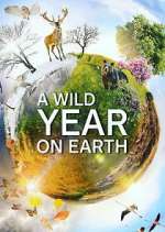 Watch A Wild Year on Earth Freemovieswatch
