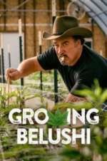 Watch Growing Belushi Freemovieswatch