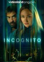 Watch Incognito Freemovieswatch