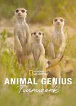 Watch Animal Genius Freemovieswatch