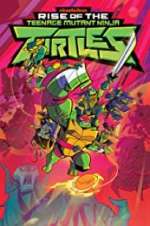 Watch Rise of the Teenage Mutant Ninja Turtles Freemovieswatch