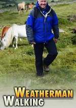 Watch Weatherman Walking Freemovieswatch