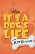 Watch It\'s a Dog\'s Life with Bill Farmer Freemovieswatch