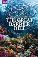 Watch Great Barrier Reef with David Attenborough Freemovieswatch