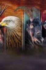 Watch Wales: Land of the Wild Freemovieswatch