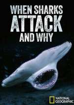 Watch When Sharks Attack... And Why Freemovieswatch