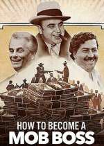 Watch How to Become a Mob Boss Freemovieswatch