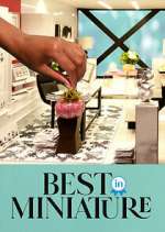 Watch Best in Miniature Freemovieswatch