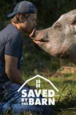Watch Saved by the Barn Freemovieswatch