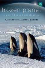 Watch Frozen Planet Freemovieswatch