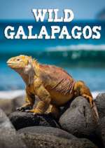 Watch Wild Galapagos Freemovieswatch