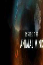 Watch Inside the Animal Mind Freemovieswatch