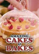 Watch Amazing Cakes & Bakes Freemovieswatch