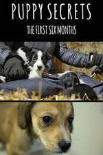 Watch Puppy Secrets: The First Six Months Freemovieswatch