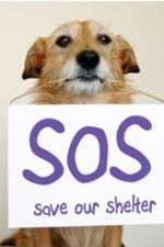 Watch Save Our Shelter Freemovieswatch