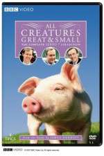 Watch All Creatures Great and Small Freemovieswatch