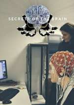 Watch Secrets of the Brain Freemovieswatch