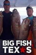 Watch Big Fish Texas Freemovieswatch