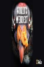 Watch National Geographic Worlds weirdest Freemovieswatch