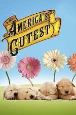Watch America's Cutest Freemovieswatch