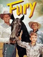 Watch Fury Freemovieswatch