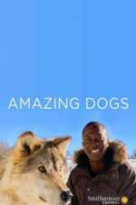 Watch Amazing Dogs Freemovieswatch