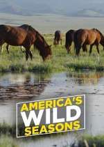 Watch America's Wild Seasons Freemovieswatch