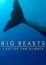 Watch Big Beasts: Last of the Giants Freemovieswatch