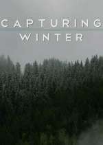 Watch Capturing Winter Freemovieswatch