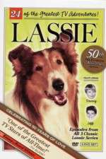 Watch Lassie Freemovieswatch
