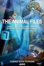 Watch The Animal Files Freemovieswatch