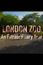 Watch London Zoo: An Extraordinary Year Freemovieswatch