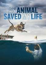 Watch An Animal Saved My Life Freemovieswatch