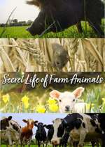 Watch Secret Life of Farm Animals Freemovieswatch