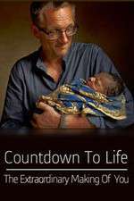 Watch Countdown to Life The Extraordinary Making of You Freemovieswatch