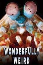 Watch Wonderfully Weird Freemovieswatch