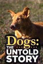Watch Dogs: The Untold Story Freemovieswatch