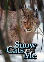 Watch Snow Cats and Me Freemovieswatch