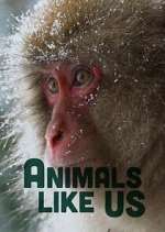 Watch Animals Like Us Freemovieswatch