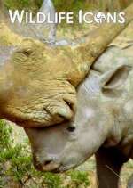 Watch Wildlife Icons Freemovieswatch