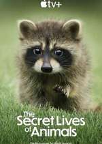 Watch The Secret Lives of Animals Freemovieswatch